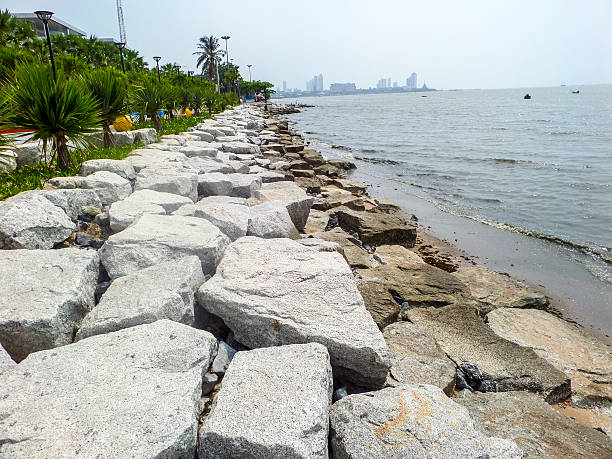 istock flower and rock and stone on coast 488275574