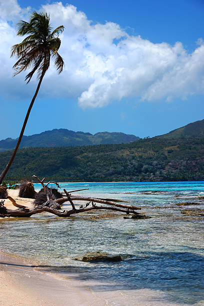 istock Virgin beach, Samana peninsula, Dominican Republic , playa rincon 488276413
