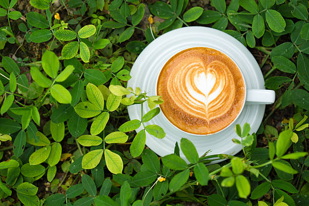 hot latte art coffee on green tree stock photo