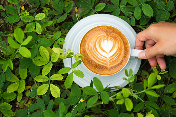 hot latte art coffee on green tree stock photo