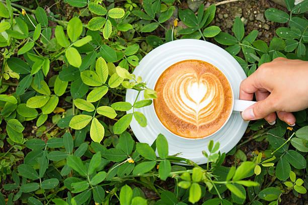 hot latte art coffee on green tree stock photo