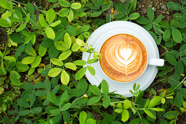 hot latte art coffee on green tree stock photo