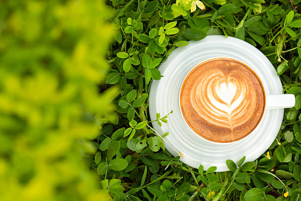 hot latte art coffee on green tree stock photo