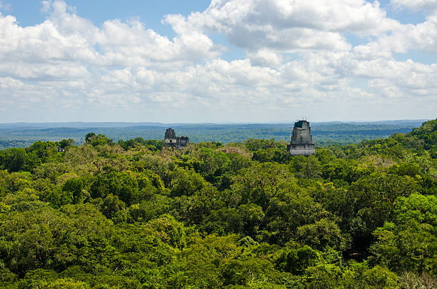 istock View of Tikal  Ruins and pyramids above the trees 488276965