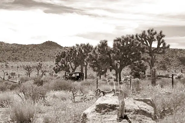 Roadster and desert in sepia.