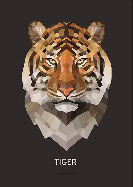 Vector illustration of Tiger vector