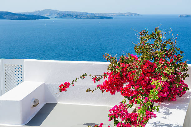 istock Terrace with red flowers. Santorini island, Greece. 488278192