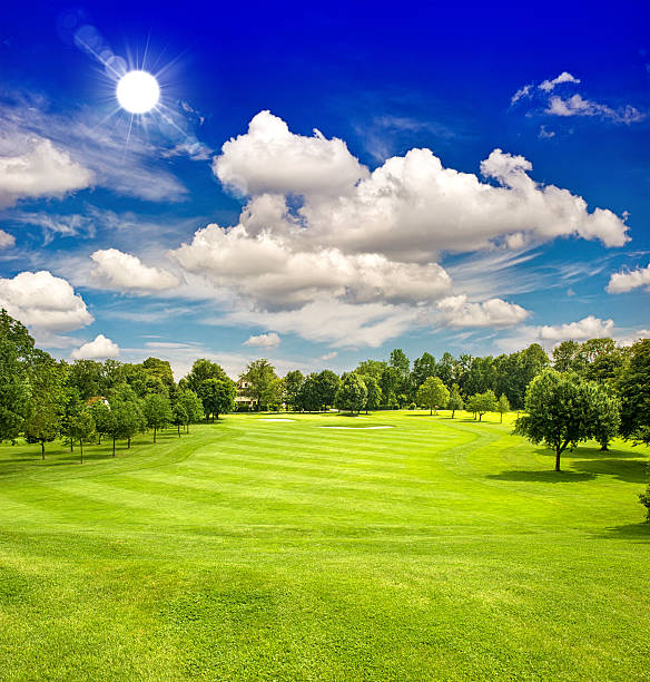 istock golf course and blue sunny sky. green field landscape 488278677