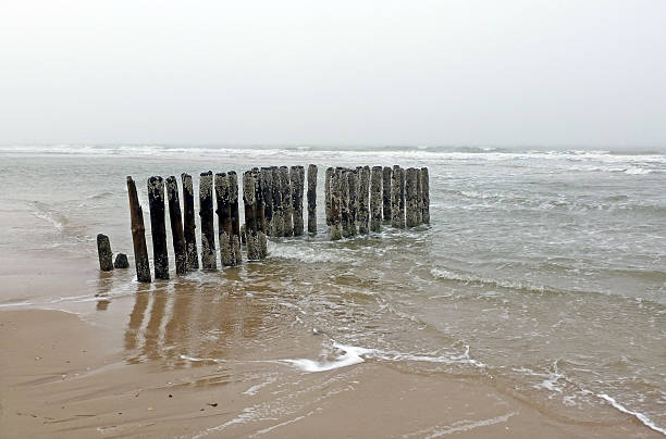 волнорез на пляже в туман - wadden wadden sea unesco world heritage site sea стоковые фото и изображения