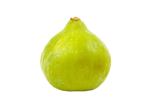 istock Single fresh and ripe fig isolated on a white background 488281524