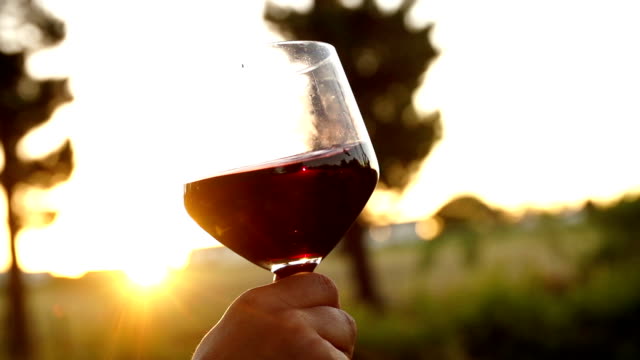 Red wine being swirled in wineglass in slow motion