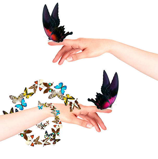 istock butterfly on woman's hand. In motion 488300745