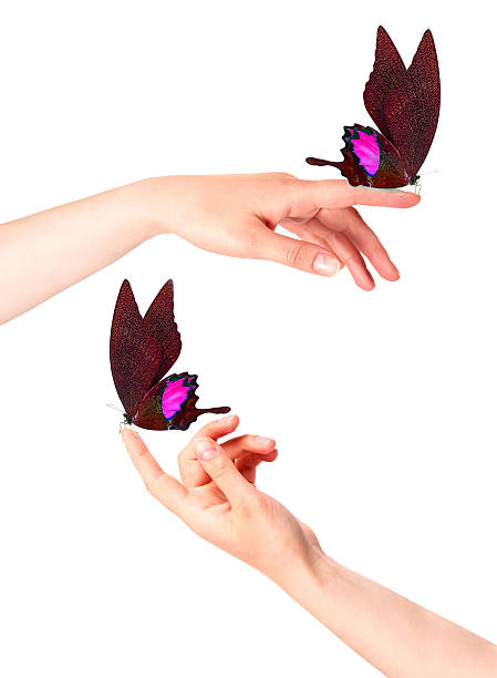 istock butterfly on woman's hand. In motion 488300789
