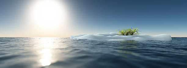 istock Iceberg with green grass floating in ocean. Clear blue sky. 488305031