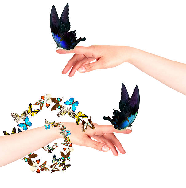 istock butterfly on woman's hand. In motion 488306153