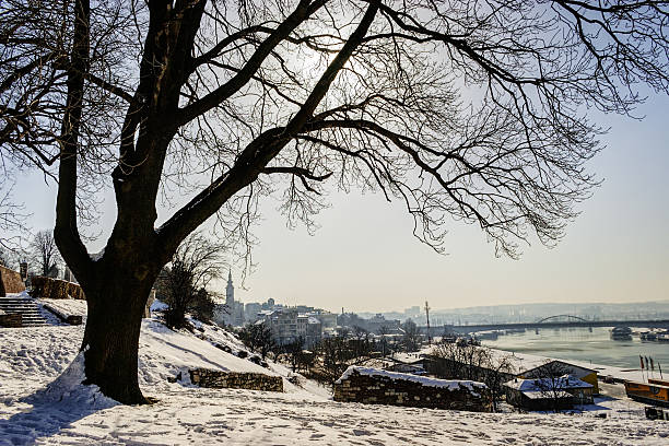 istock Kalemegdan park at winter, Belgrade, Serbia 488306159
