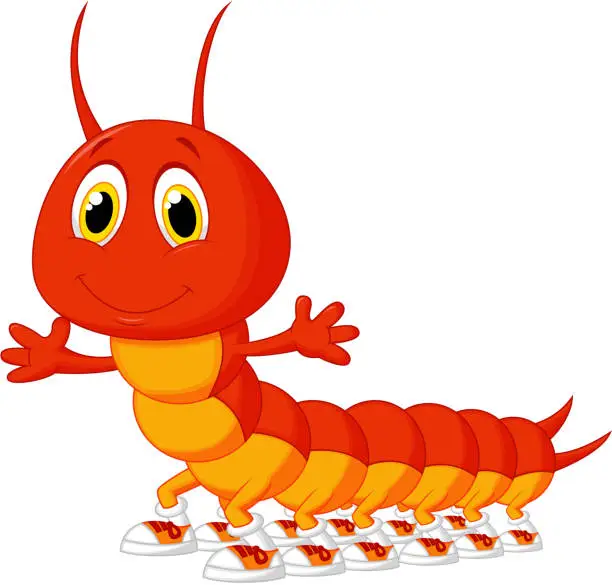 Vector illustration of Cute centipede cartoon