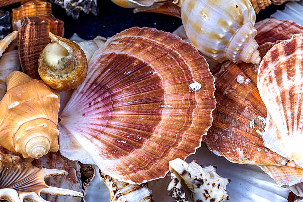 istock Beautiful colorful exotic marine and ocean sinks, stone as brigh 488307281