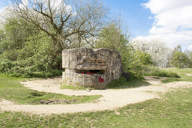 istock bunker of world war on hill 60 Belgium 488307555