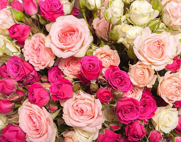 istock Abstract background of flowers. Close-up. 488307954