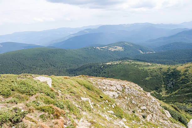 istock View of misty mountains in summer Carpathians, Ukraine 488308094