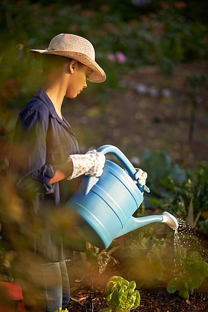istock Nourishing her garden 488308778