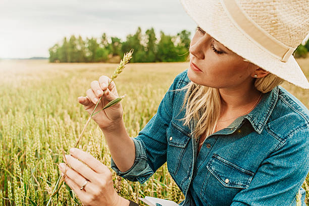 istock Serious female agronomist researching 488309816