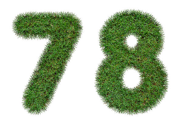 istock Grass number 7,8  isolated on white background 488310298