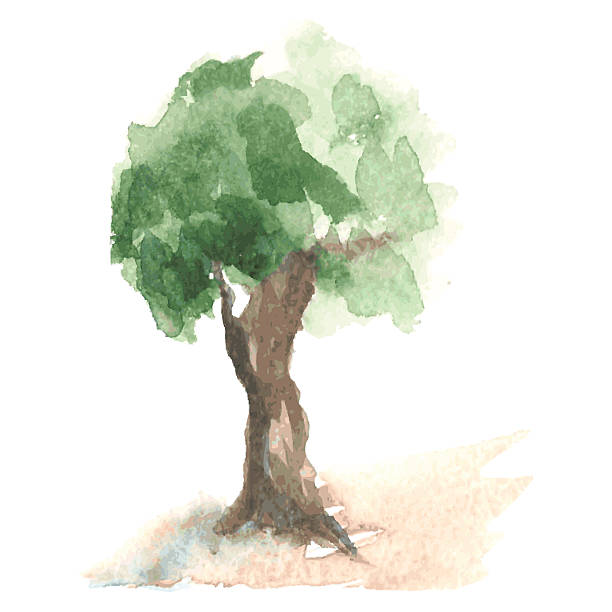 istock Old watercolor tree with green foliage on brown trunk 488311852
