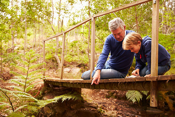 avô e neto jogando em uma ponte em floresta - senior adult cheerful adventure discovery imagens e fotografias de stock