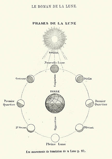 jules verne - phases of the moon - uzay ve astronomi stock illustrations