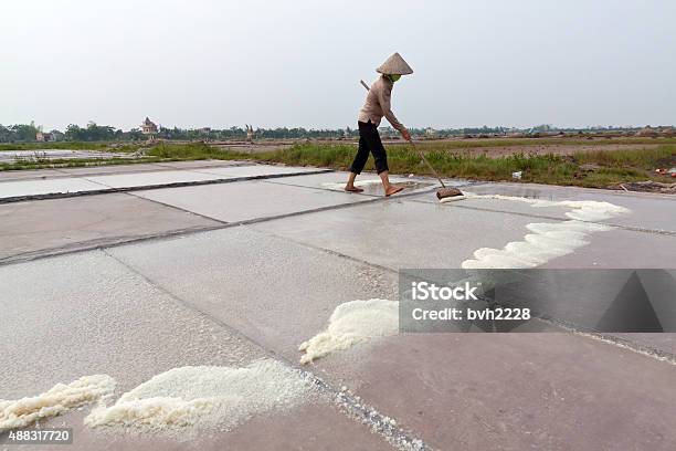 Salt Workers Working On Their Salt Farm Stock Photo - Download Image Now - 2015, Activity, Agricultural Field