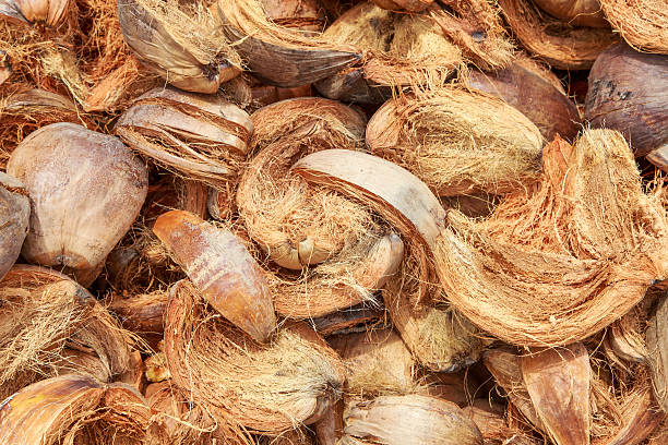 istock pile of coconut spathe 488318022