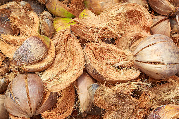 istock pile of coconut spathe 488318918
