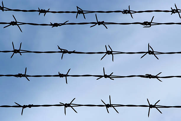 istock Barb wire fence and blue sky 488323189