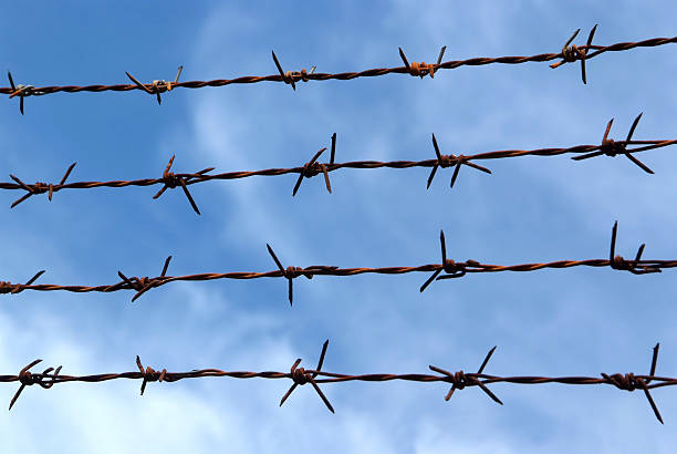 istock Barb wire fence and blue sky 488323199