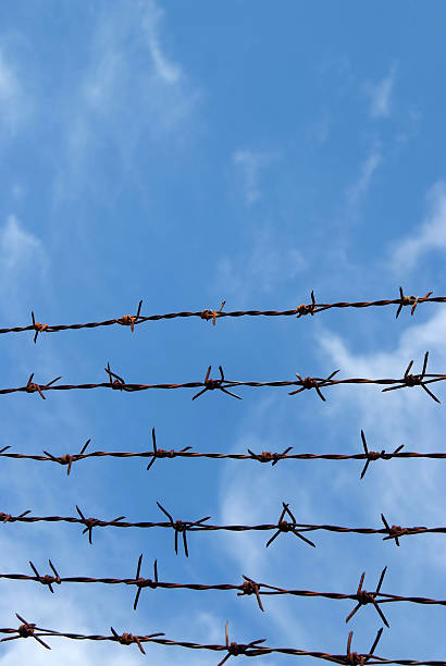 istock Barb wire fence and blue sky 488323467