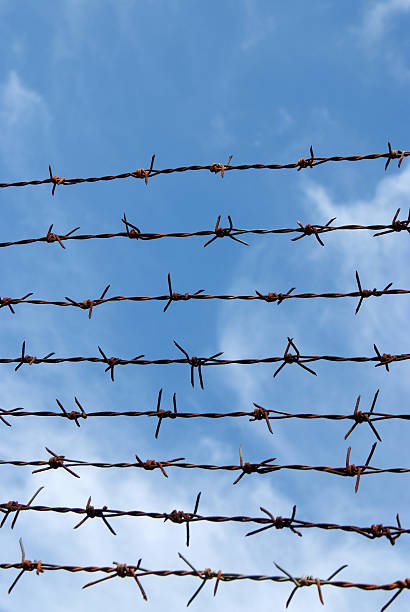 istock Barb wire fence and blue sky 488323699