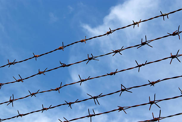 istock Barb wire fence and blue sky 488323701