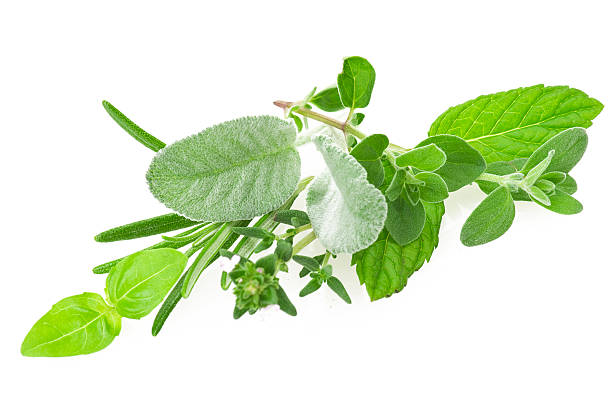 istock Mix of Spice leaves 488324583