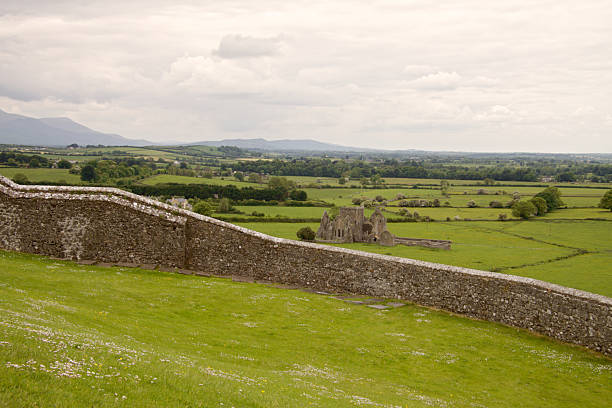 istock Irish landscape from Rock of Cashel 488324959
