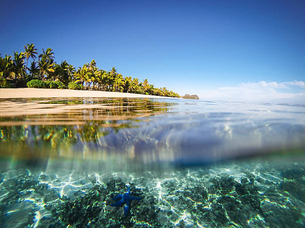 istock Split shot of tropical island 488324997