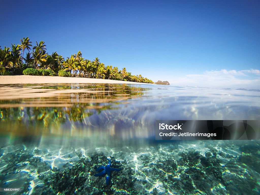 Split shot of tropical island Split shot of tropical island. Over underwater Fiji Stock Photo