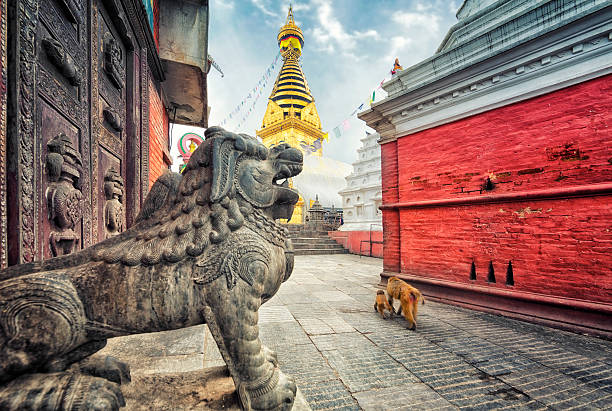 swayambhunath stupa - swayambhunath foto e immagini stock