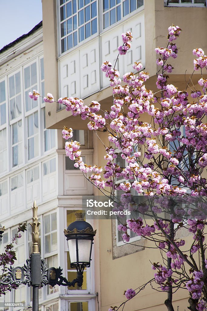 Старый город в spring - Стоковые фото Архитектура роялти-фри