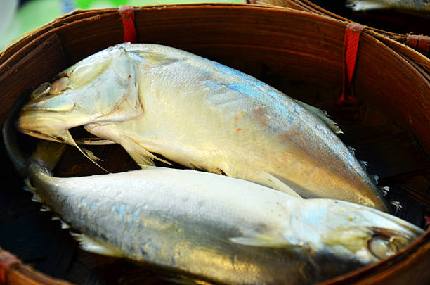 istock Steamed fish tuna in Thailand 488327643
