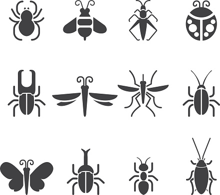 Insect Silhouette icons