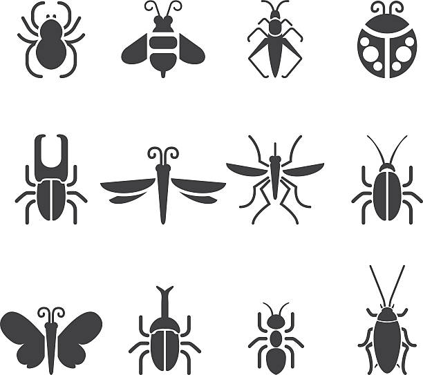 Insect Silhouette icons| EPS10 Insect Silhouette icons seven spot ladybird stock illustrations