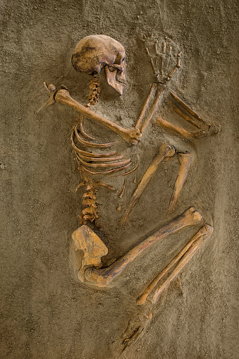 Skeletons of ancient tombs ,Location of excavation Lepenski Vir ,Serbia