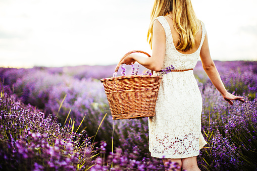 Photo of a young woman holding a wicker basket at the lavender field